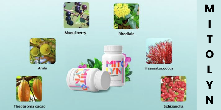 mitolyn supplement 