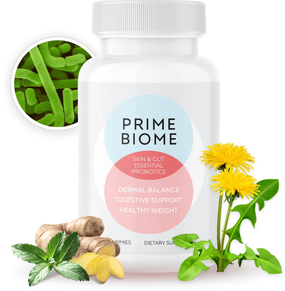 PrimeBiome: Benefits, Pros and Cons