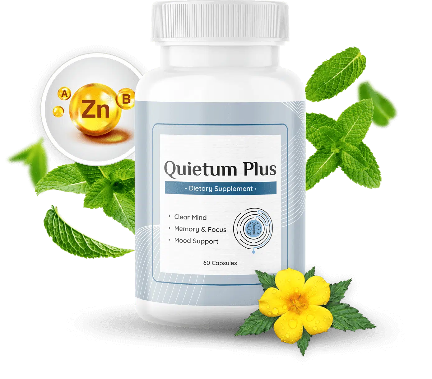 Quietum Plus Review A Natural Formula