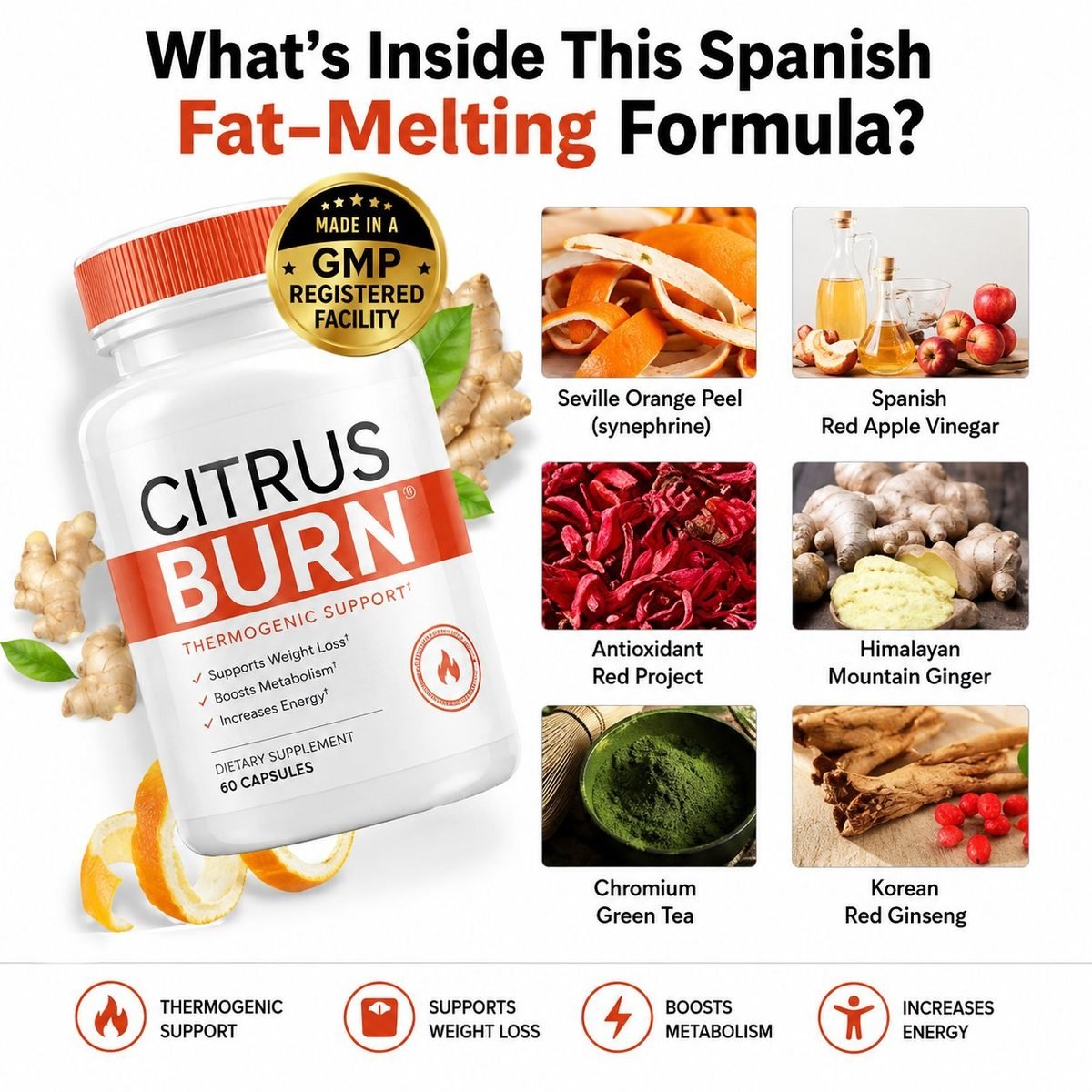 best metabolism booster pills for weight loss 2026 — Citrus Burn review