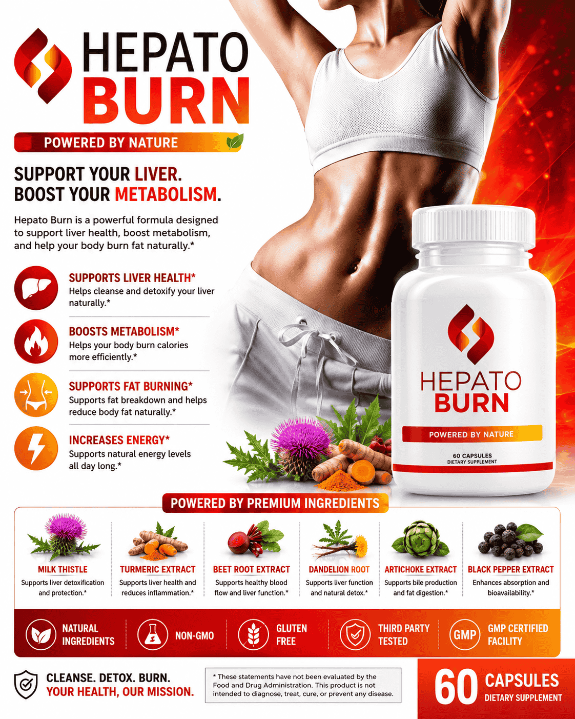 What Is MASH – HepaBurn liver support supplement for metabolic liver disease